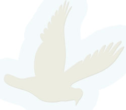 dove for church's default page