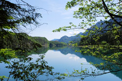 still waters